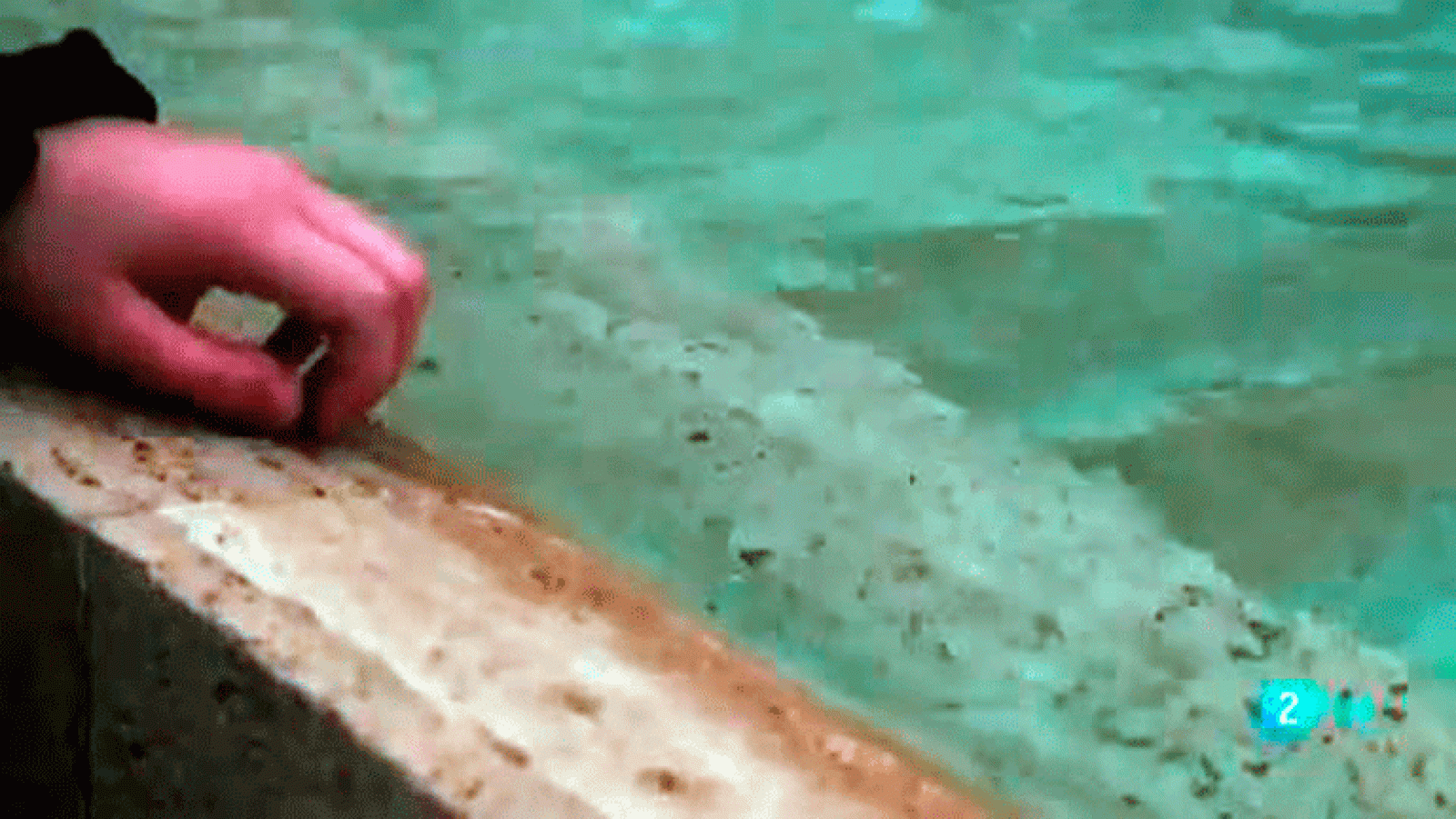 La aventura del saber Festival Internacional de Cine de Valencia-Cinema Jove