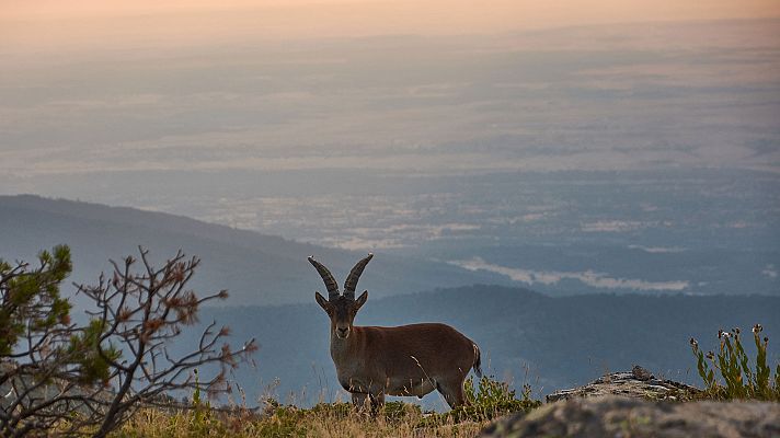 Informativo de Madrid - El Tiempo en la Comunidad de Madrid - 11/09/19
