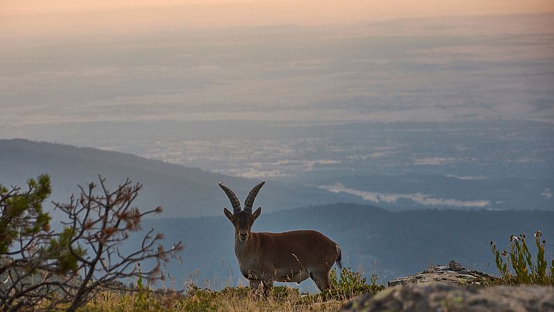 El Tiempo en la Comunidad de Madrid - 11/09/19