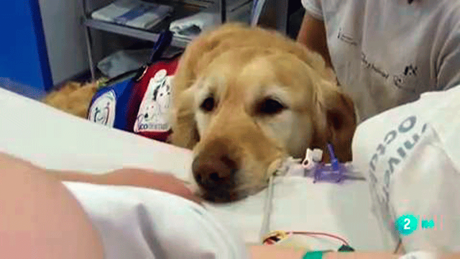 La aventura del saber Huellas de colores