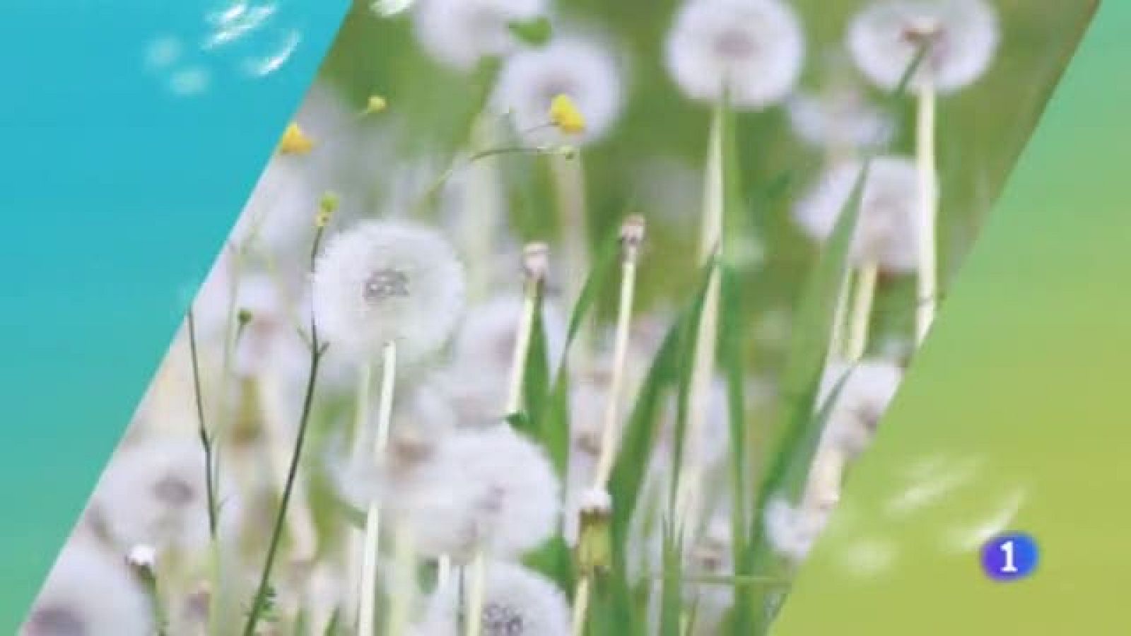 El Tiempo en Castilla-La Mancha - 12/09/19 | Ver