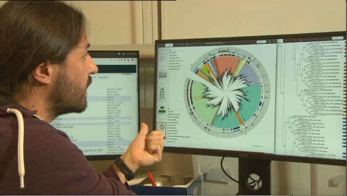 Lab24 - Biotecnología vegetal