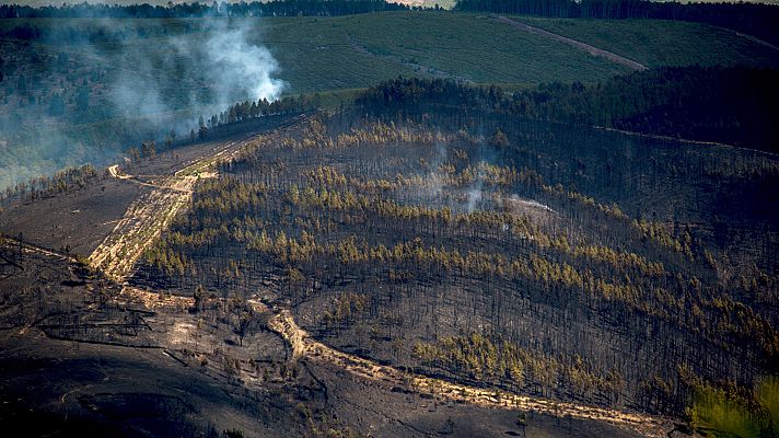 Telediario 1 - Controlado el incendio de A Gudiña tras quemar cientos de hectáreas