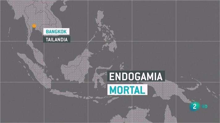 La 2 Noticias - Muerte por endogamia en tigres en Tailandia