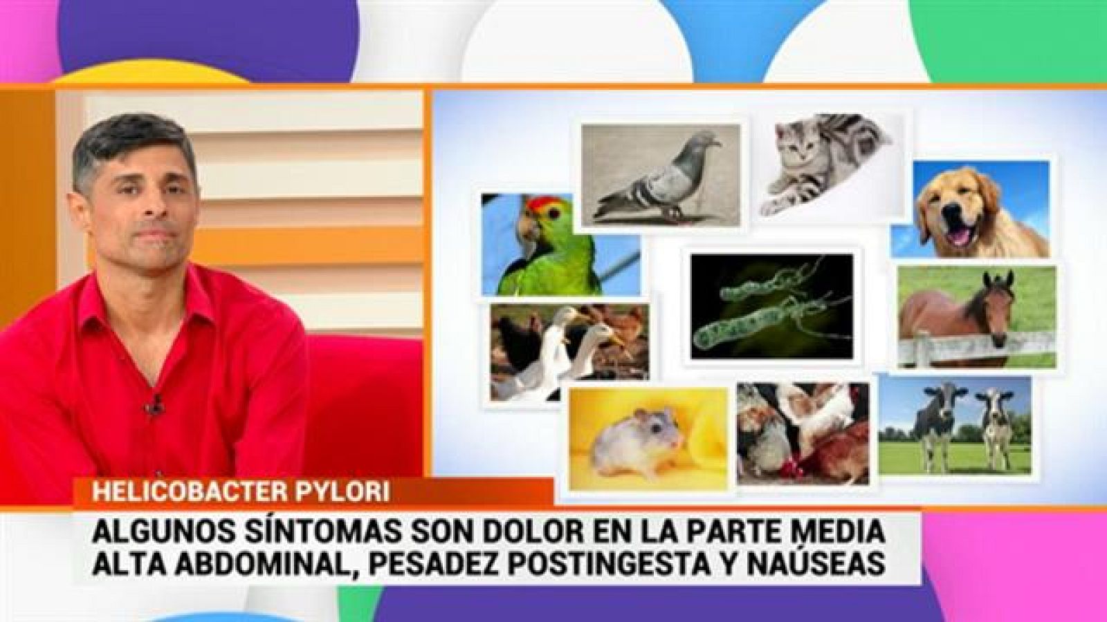 Cerca de ti - 18/09/2019