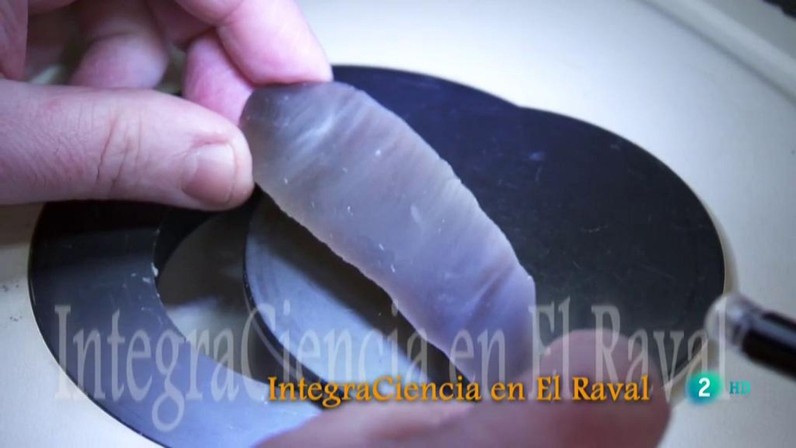 Integraciencia en el Raval I La aventura del saber