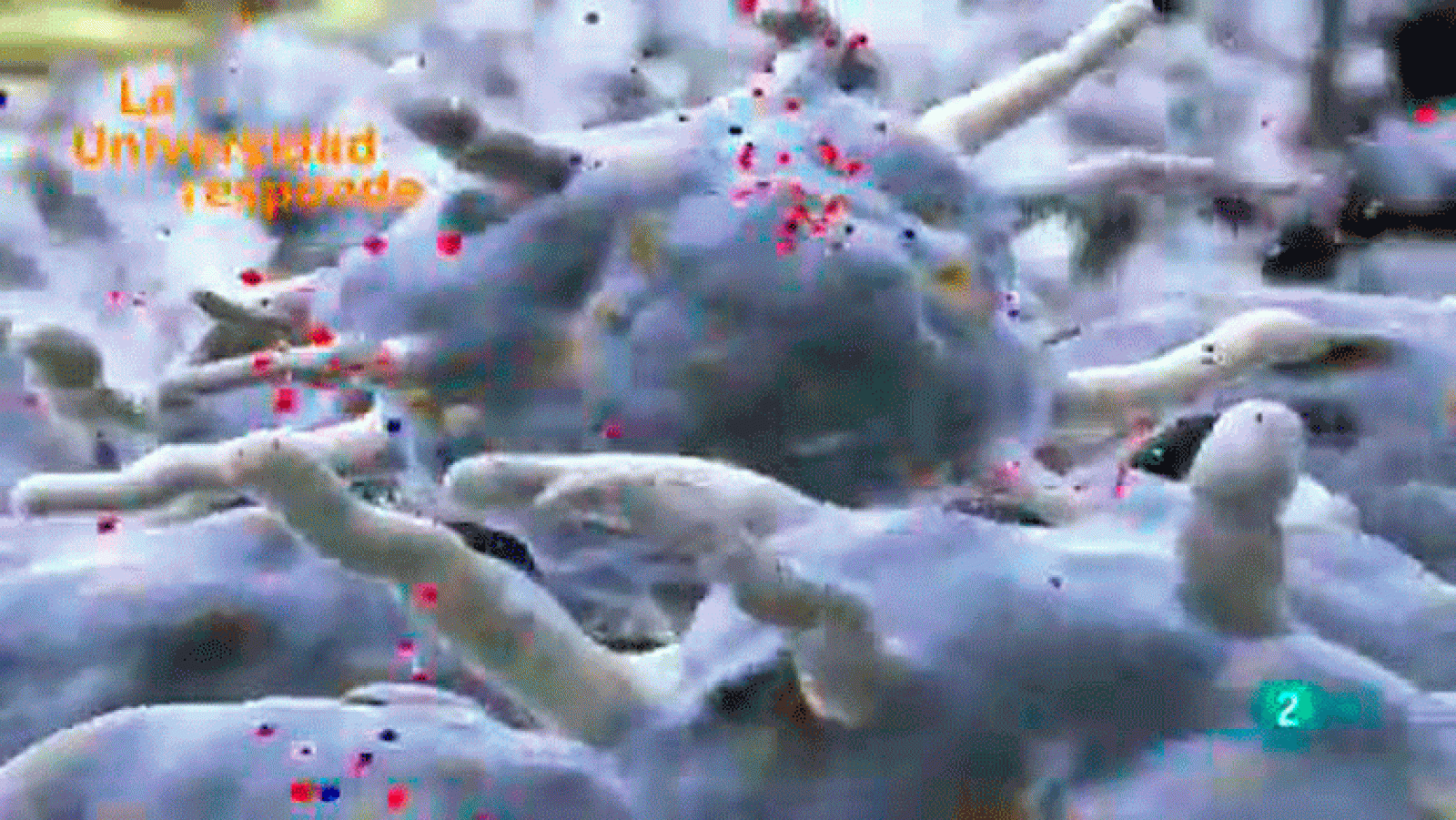 La aventura del saber ¿Qué es la proteómica y por qué es relevante en investigación biomédica? Universidad de Santiago de Compostela. La Universidad Responde.