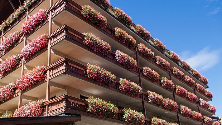 Telediario 1 - Casas con perspectiva de género