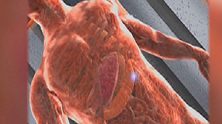 Telediario 1 - Un proyecto para mapear el interior del cuerpo humano