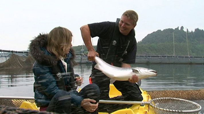 Otros documentales - Tenedor y mochila: Destino Andalucía