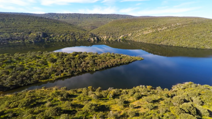 El bosque protector - Parque Nacional de Monfragüe