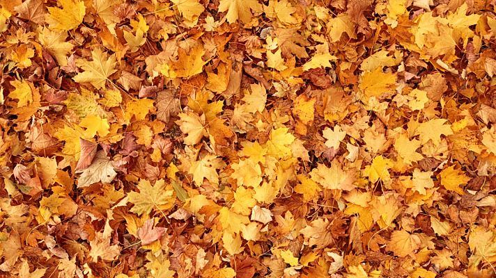 La mañana - Llega el otoño con temperaturas más altas