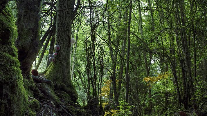 Metrópolis - Eco-Visionarios