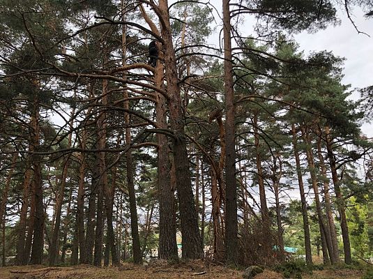 España Directo - Los gabarreros de 'El Espinar'