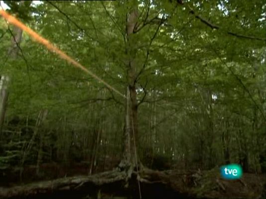 Metrópolis - Cannes 2009