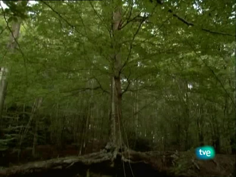 Metrópolis - Outsiders - Primera parte - Metrópolis | Ver