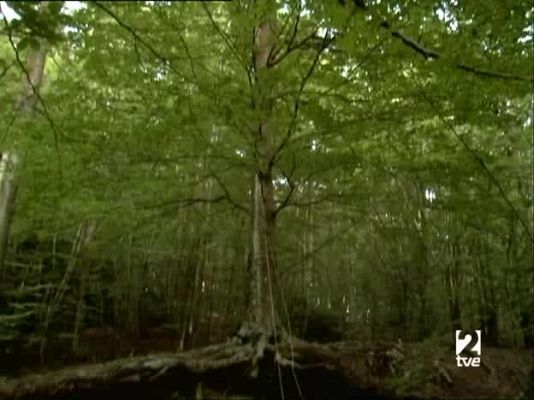 Metrópolis - HIP HOP ESPAÑA