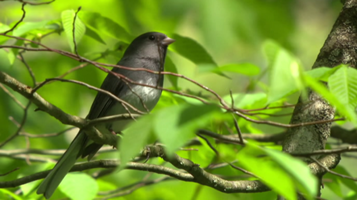 La 2 Noticias - La 2 Noticias - 25/09/19