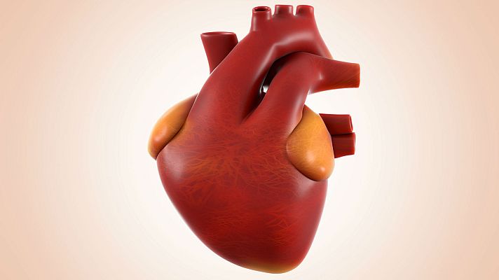 La mañana - Fabrican una arteria aorta con una impresora 3D