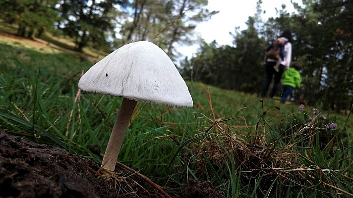 L'informatiu - Comunitat Valenciana - El tiempo en la Comunidad Valenciana - 26/09/19