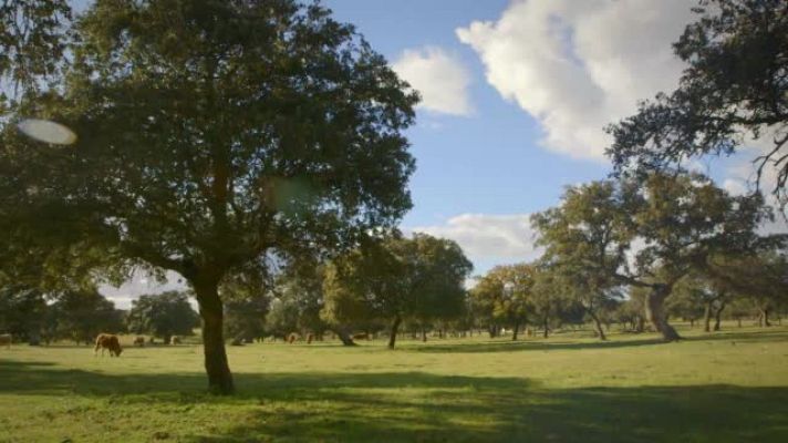 La paisana - La Paisana visita Añora