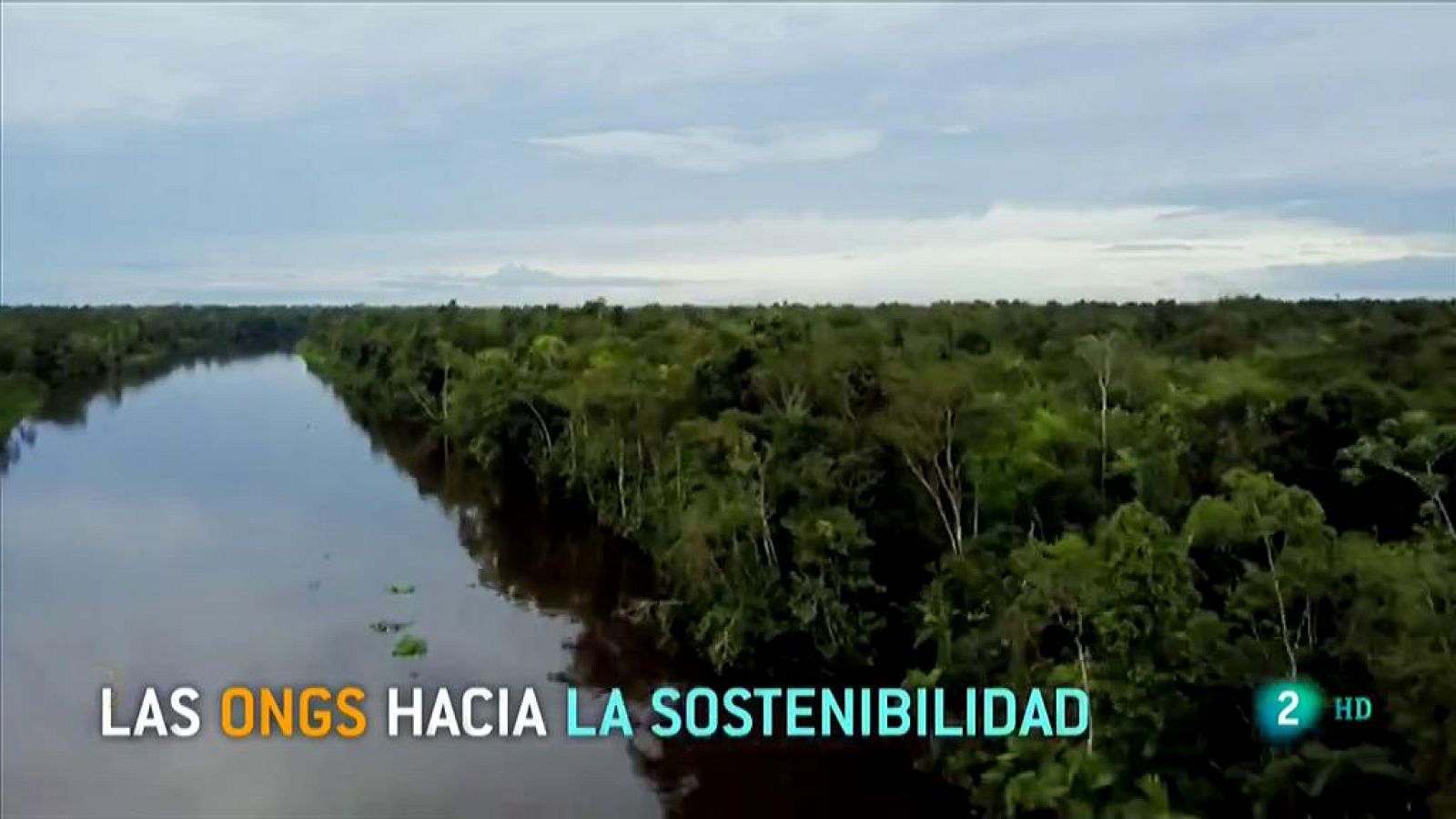 Las ONG hacia la sostenibilidad