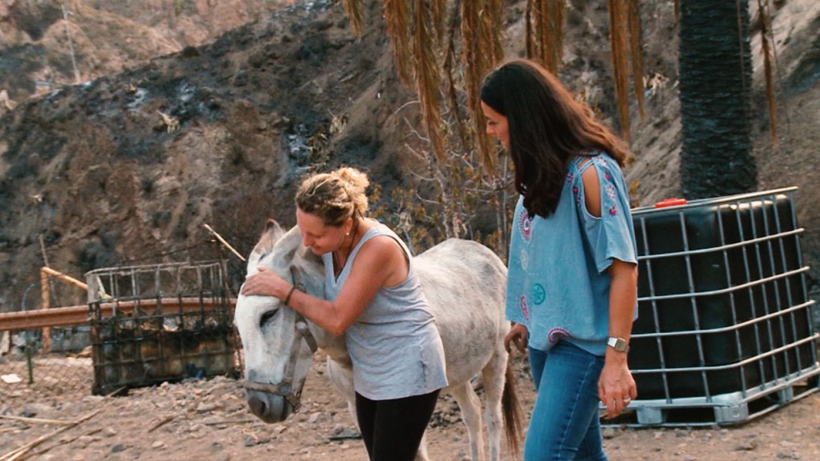 Comando actualidad - Tierra quemada - ver ahora