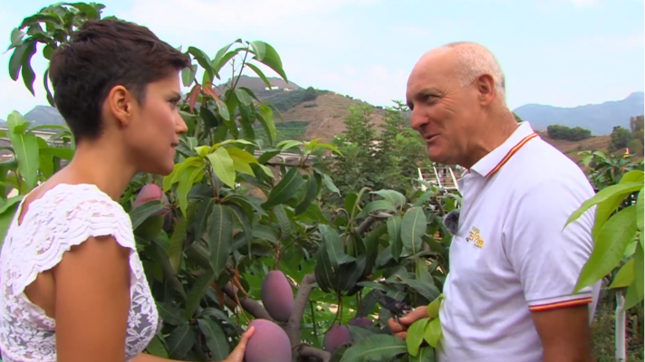 Saber vivir - Almuñécar, Granada