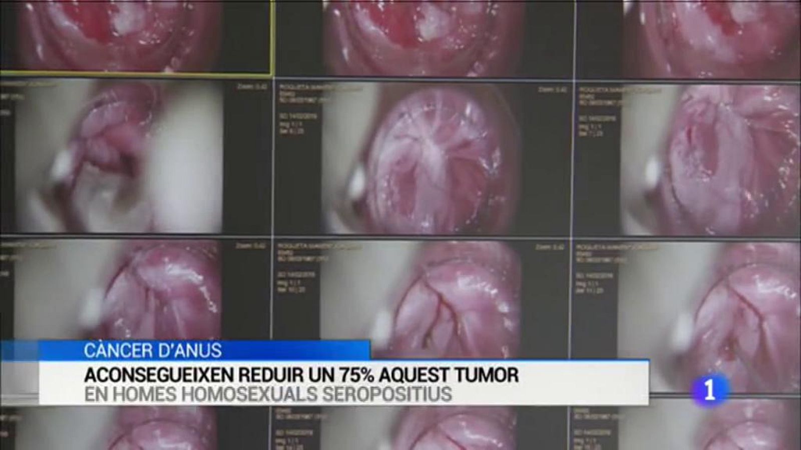 L'Informatiu - 01/10/2019