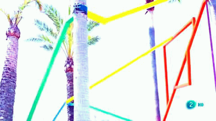 La aventura del Saber - Ricardo Cases, Fotógrafo de lo cercano