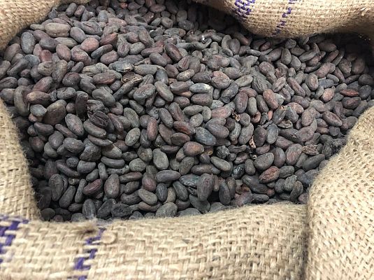 España Directo - Astorga, un municipio con tradición chocolatera