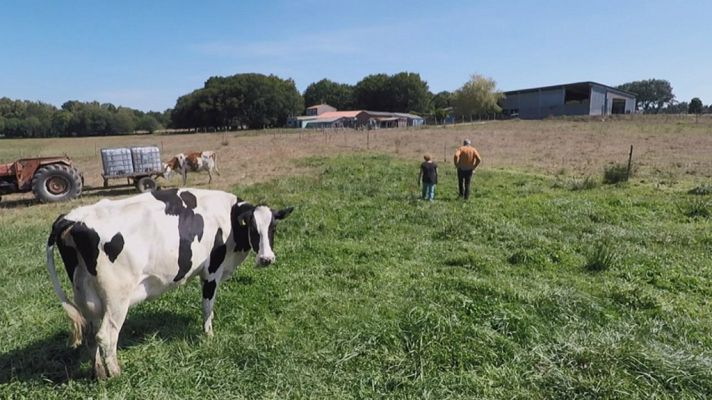 Aquí la Tierra - Iturriaga y la cosmética con leche