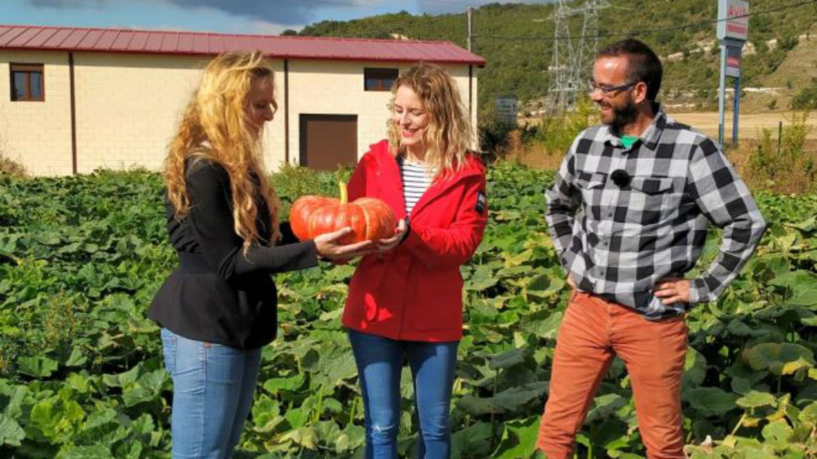 La mermelada, desde el huerto