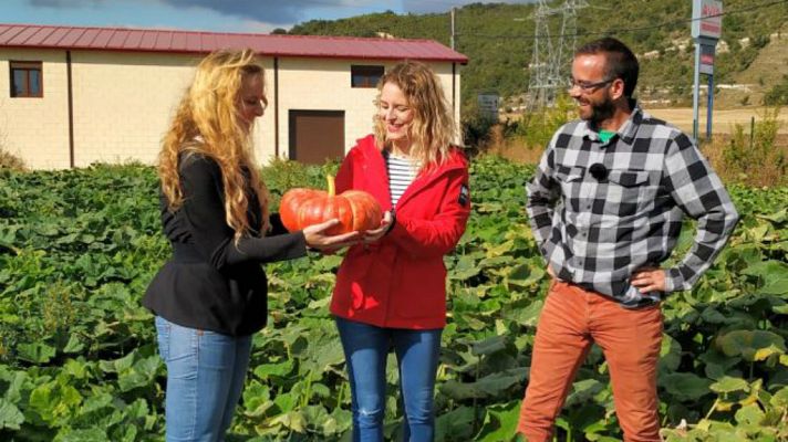 Aquí la Tierra - La mermelada, desde el huerto