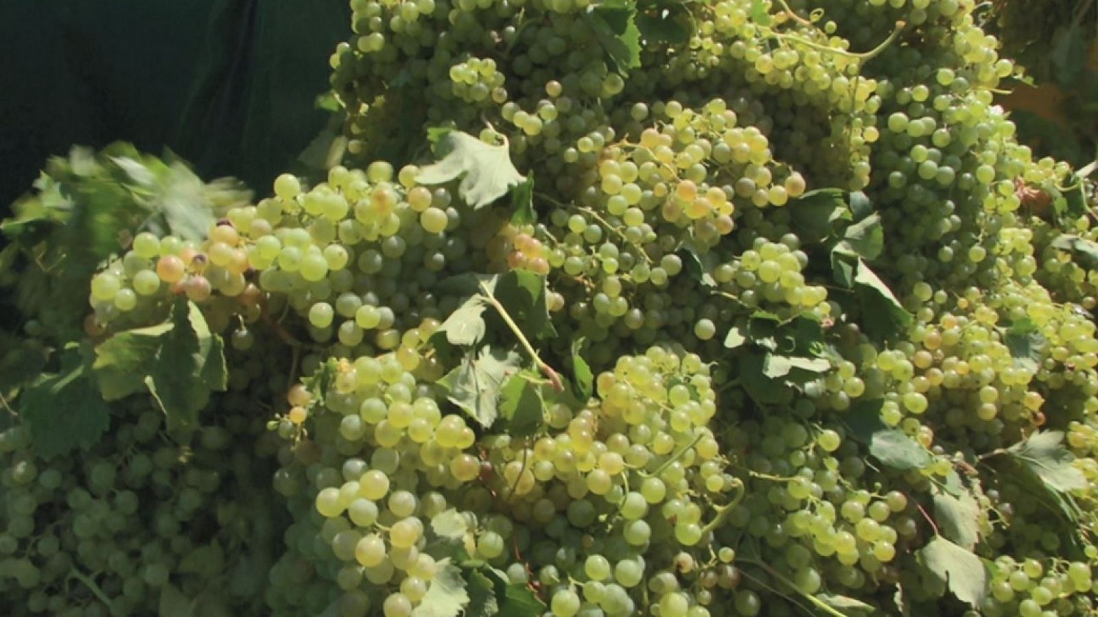 Aquí la Tierra - 01/10/19 - ver ahora