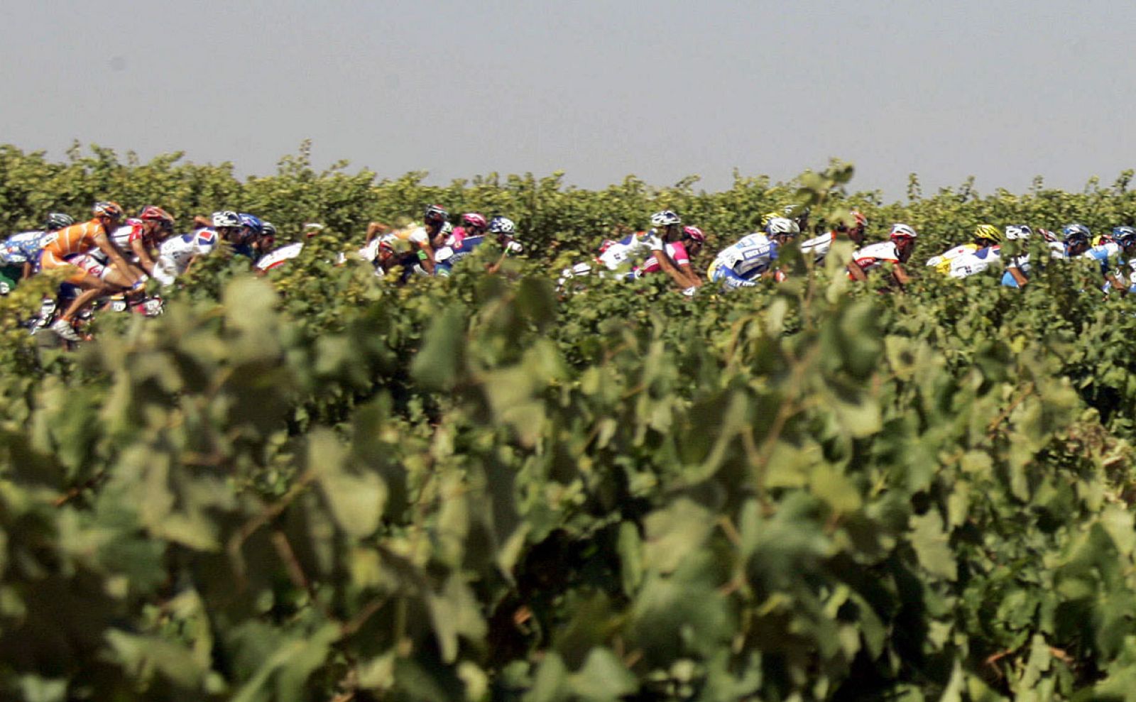 Avinyonet del Penedés, el segundo pueblo más rico de España