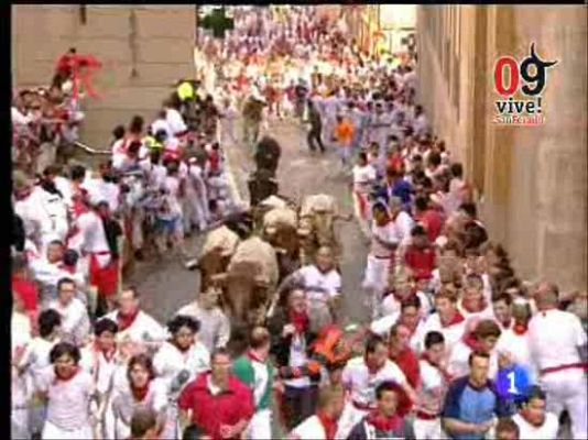 San Fermín - II encierro 2009. Manada reagrupada