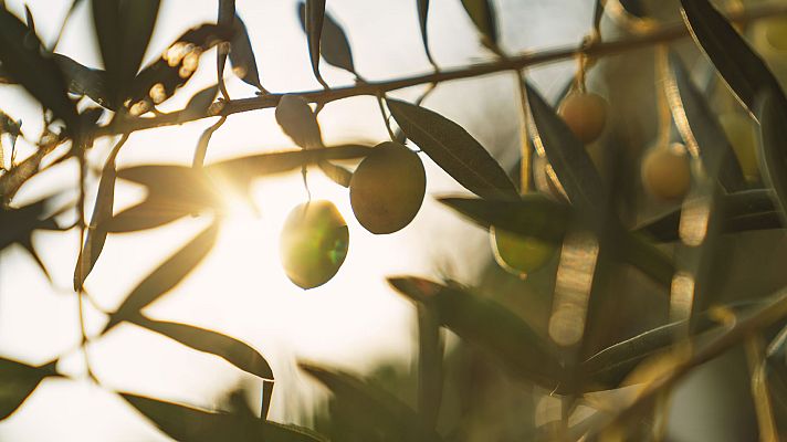 Telediario 1 - Telediario 2 en 4' - 04/10/19