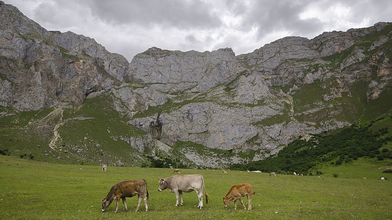 Cielos nubosos en todo el extremo norte peninsular - Ver ahora