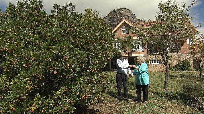 Buenas noticias TV - La fe de Federico y Marta