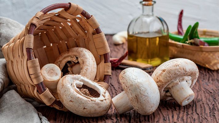 Telediario 1 - La temporada de setas se retrasa a causa de la sequía