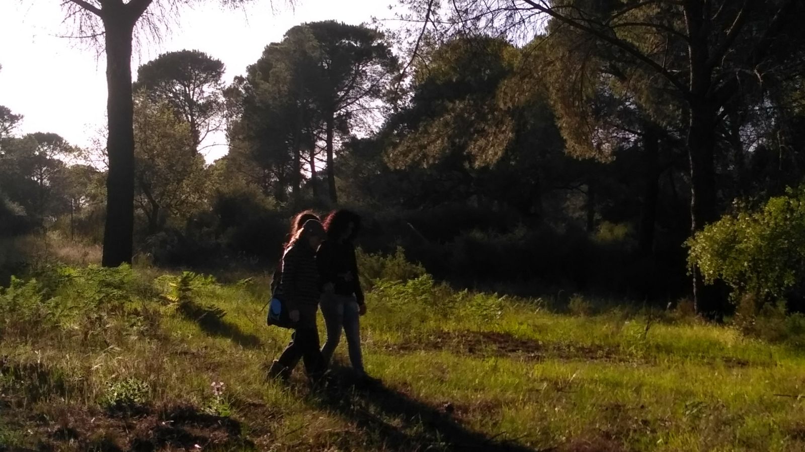 De seda y hierro - Alas para bailar - ver ahora