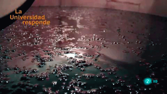 La aventura del Saber - ¿En qué consiste la fermentación del vino?