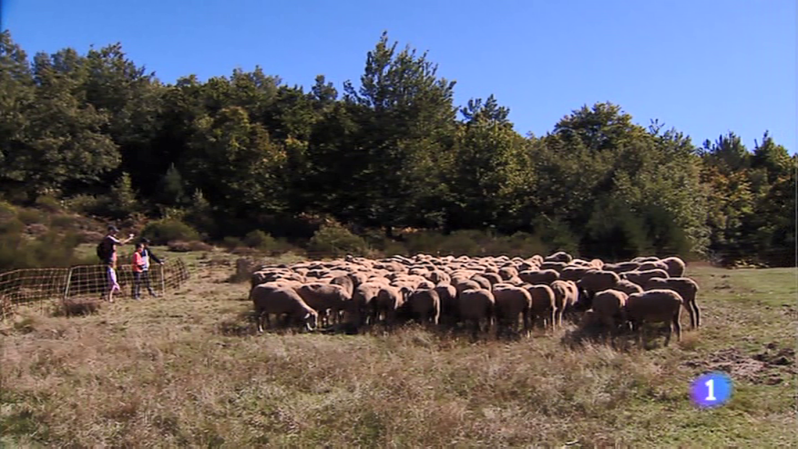 Informativo Telerioja 2 - 07/10/19