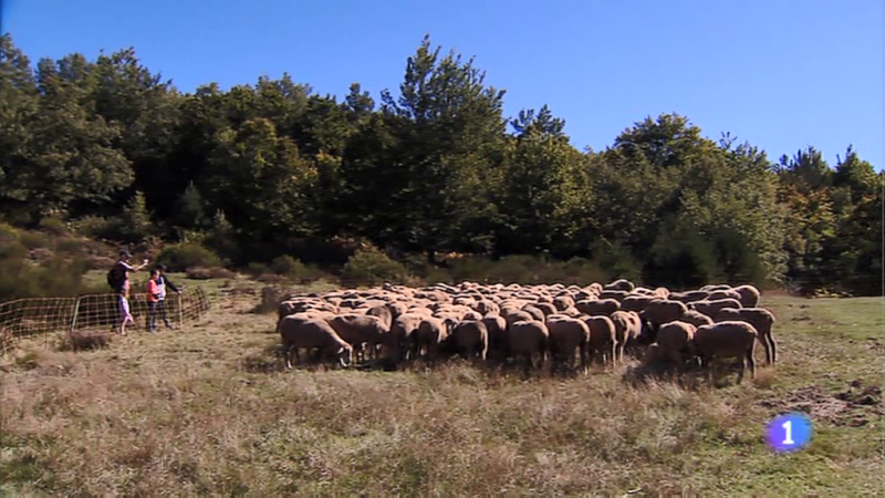 Informativo Telerioja 2 - 07/10/19