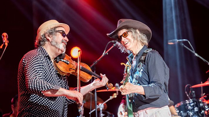 La hora musa - The Waterboys "The Whole of the Moon"