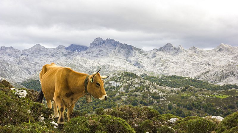 El litoral de Cataluña y en Baleares con lluvias y chubascos ocasionales - Ver ahora