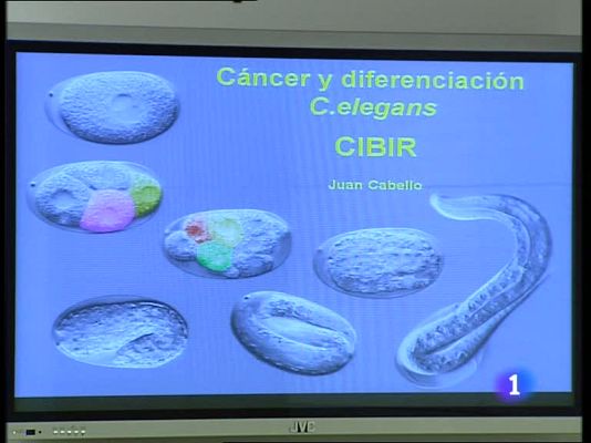 Informativo Telerioja - Informativo Telerioja - 08/07/09