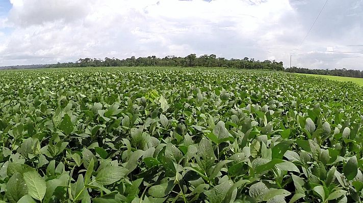 Documentos TV - La fiebre de la soja