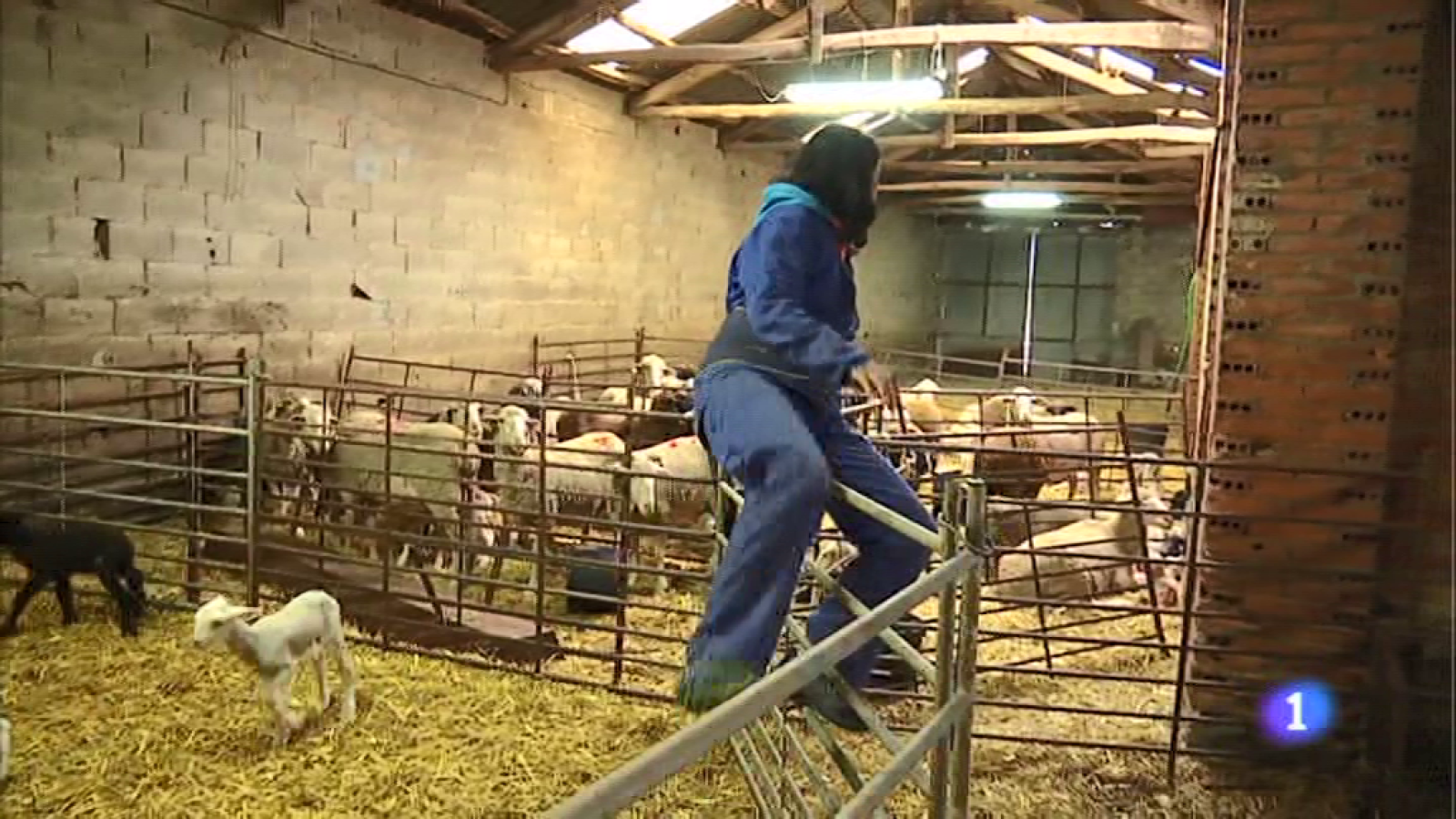 Informativo Telerioja 2 - 09/10/19